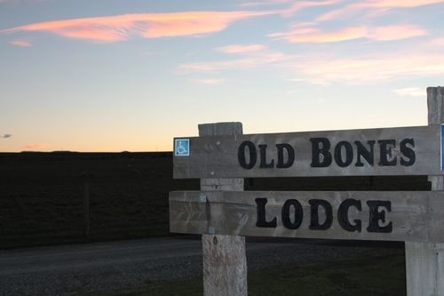 Old Bones Lodge أومارا المظهر الخارجي الصورة